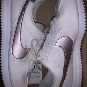 Cortez Basics.